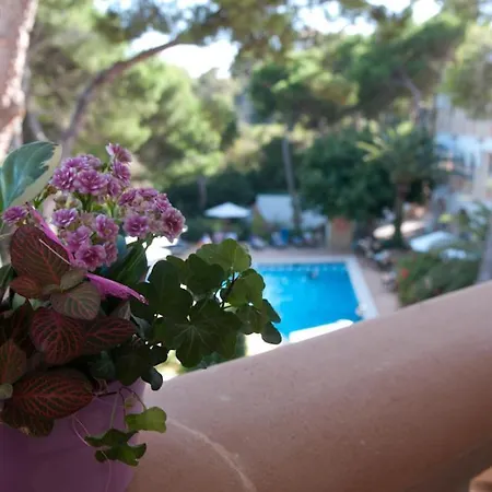 Hotel Cala Gat